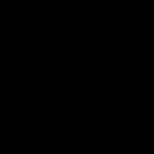 Meet your Posher, Ava